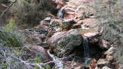 PICTURES/Barnhardt Trail/t_Distant Falls3.JPG